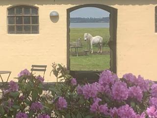 Stutteri Ahl near beach and town - Ebeltoft - 9