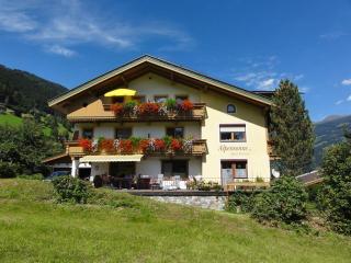 Apart Alpensonne - Zellberg - 9