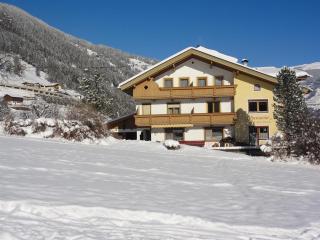 Apart Alpensonne - Zellberg - 8