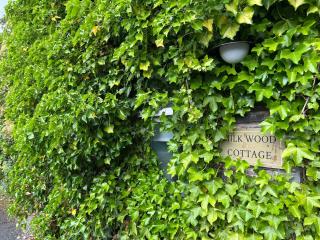 Milkwood Cottage - Corwen - 4