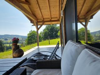 Almtalblick - Pettenbach - 7