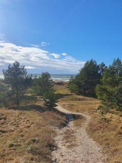Nemirseta - Palanga - 1