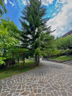 Villa Sere - Rocca di Cambio - 6