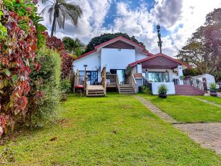 Van Gogh - Ballito - 9