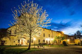 Fattoria il Casone - Monteriggioni - 3