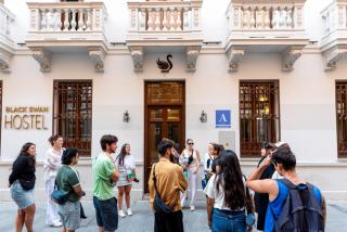 Black Swan Hostel Granada - Granada - 0