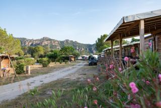 Camping RCN Domaine de la Noguière - Le Muy - 9