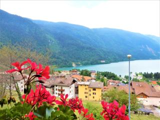 Villa Primula - Molveno - 4