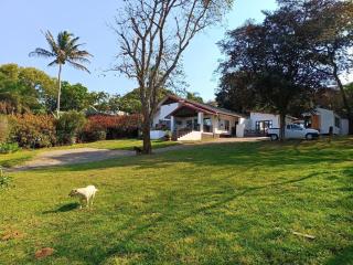 Van Gogh - Ballito - 5