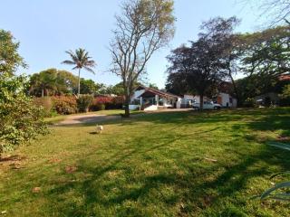Van Gogh - Ballito - 6