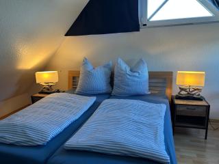 Möwe - a67617 - Zingst - 4