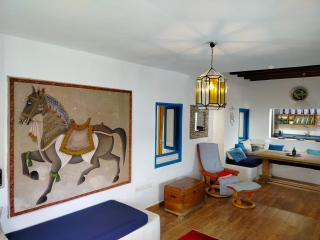 Casa Azul - 50 m beach, exclusive and quiet area, Wi-Fi - Pedro Barba - 1