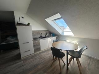 Ferienwohnung Zeitz - Weiße Elster Apartment - Zeitz - 8