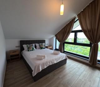 INDRA WELLNESS Retreats and Spa - Samurcaşi - 4