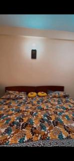 Rest Inn Guest House - Murree - 4