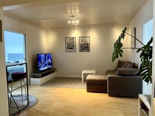 Spacious 3 room condo in Central Turku - Turku - 0