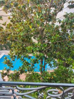 La paisible, coeur de ville Narbonne - 2