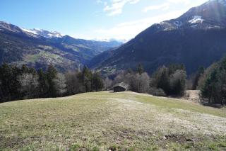 Ruheoase mit Bergsicht - Churwalden - 4