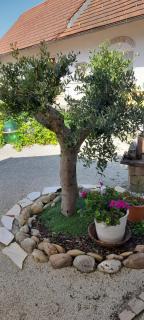 Wohnen und Schlafen im Cottage - 4