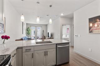 Brand New luxury 1 bedroom - Austin - 8