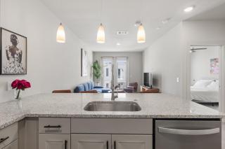 Brand New luxury 1 bedroom - Austin - 4
