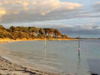 Quiet loft, beaches, jacuzzi and fireplace - Saint-Philibert - 2