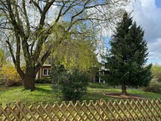 Bad Saarow Ferienhaus - Bad Saarow - 4