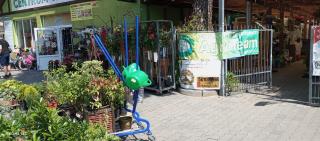 SAS Militaria dla 2 par 2 pokoje 4 osoby - 7