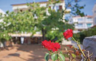 Apartments Nikola - Punat - 2