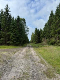 A unique gem in Søhøjlandet - 4