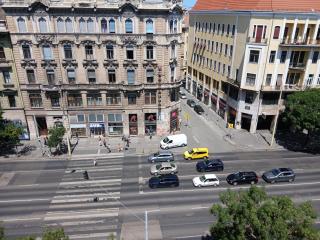 27 Shades of Green (4 bedroom 3 Bath Sunny Central) - 4