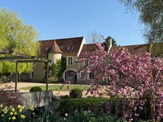 Canon, Coeur De Combray - Ernes - 1