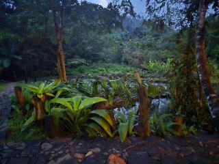 Explore Sinharaja Rain Forest Tour Camp - 8