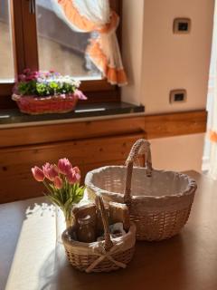 Cà Giulia - Vignola - 1