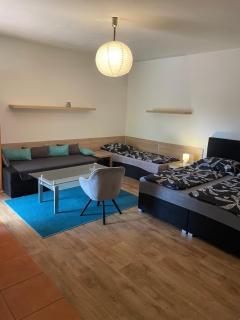 Apartmán 1 - Doksy - 0