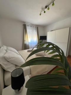 Apartmani Dolores - 1