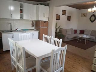 The Little Oasis Villa - Shkodër - 9