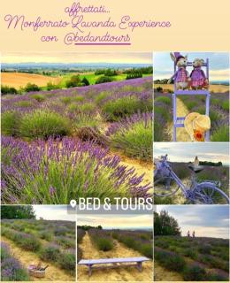 Bed & Tours Dimora di campagna - Castelnuovo Belbo - 8