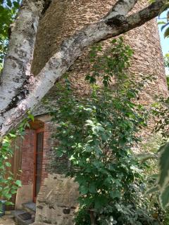 400 years old Windmill renovated - Rezé - 6