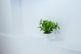 Summer Residence Kos - 7