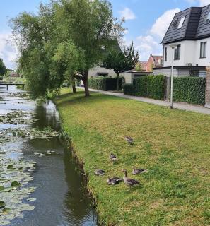 LandLust Guesthouse B&B Amsterdam Area Purmerend - Purmerend - 9