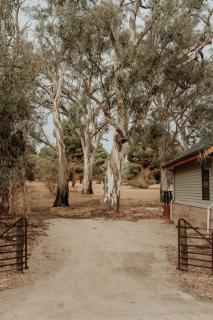 The Barn - On Cockatoo Lane - - 7