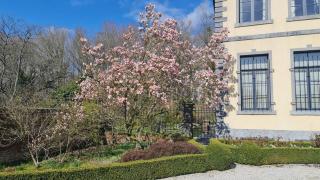 La Villa des Comtesses - Montignies-sur-Roc - 5