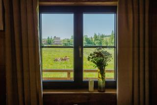 Villa Baranówka - Apartament #4 by ShortStayPoland - Ratułów - 1