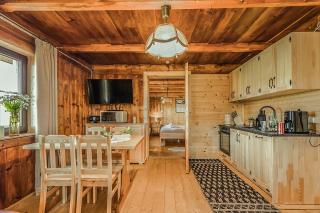Villa Baranówka - Apartament #4 by ShortStayPoland - Ratułów - 8
