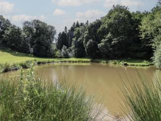 The View - Nuneaton - 2