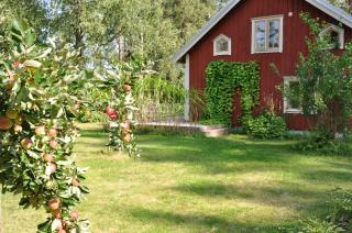 Bli en del av Vråka by - Edsbruk - 8
