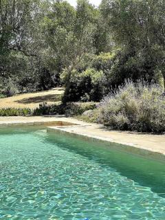 Casina Gargiulo - Alloggi con piscina - 1