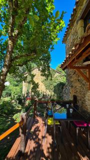 Chez le Magnolia - Frayssinet-le-Gélat - 7