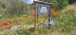 Casa Satori - 4